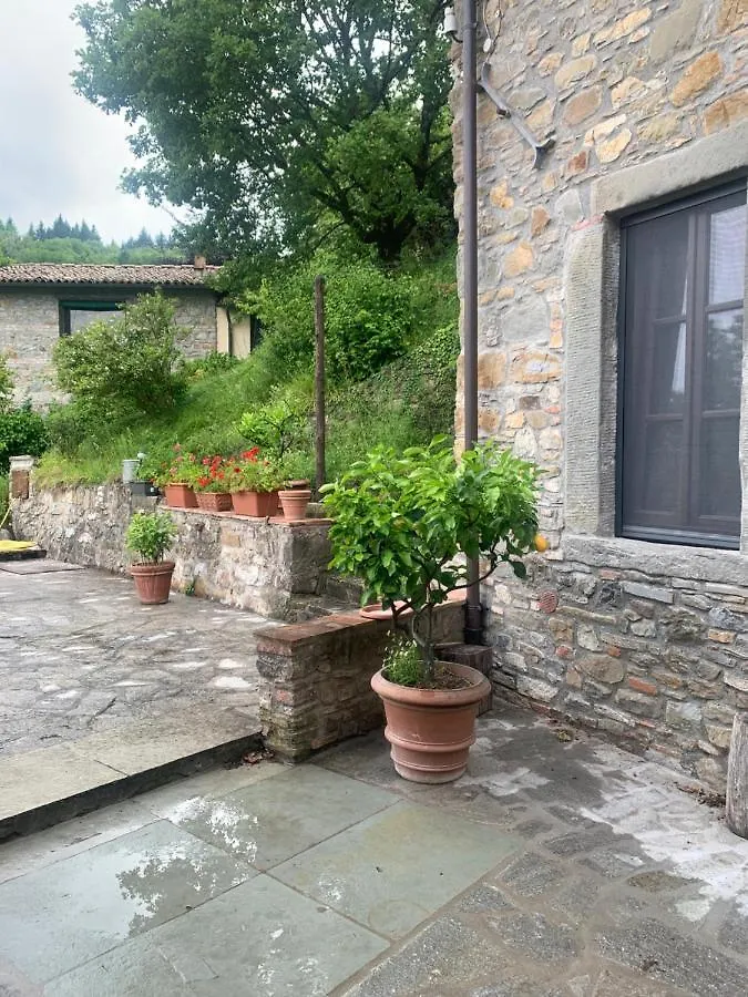 Birillina Guest House Di Laura Reni Poggio  Couette-café