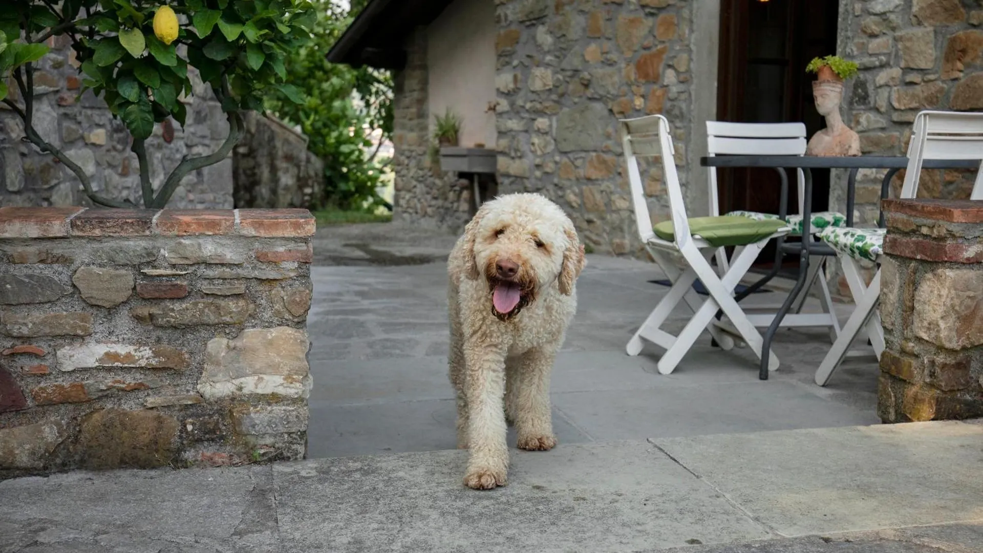 Birillina Guest House Di Laura Reni Poggio  Bed & Breakfast Poggio (Lucca)